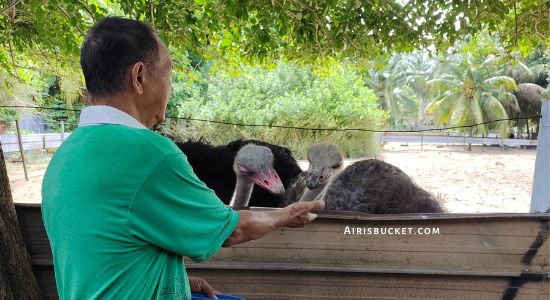 tempat menarik di pengerang, desaru bandar penawar kota tinggi
